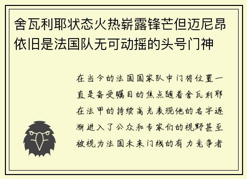 舍瓦利耶状态火热崭露锋芒但迈尼昂依旧是法国队无可动摇的头号门神